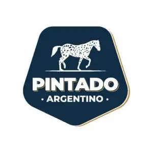 Logo pintado Argentino